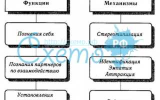 Перцепция в психологии. Что это такое, понятие, механизмы, типы, эффекты, функции