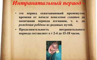 Интранатальный период. Что это такое, сколько длится, когда заканчивается, факторы риска