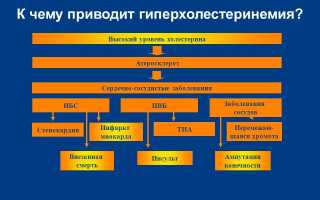 Гиперхолестеринемия. Причины и последствия, что это такое, лечение у взрослых