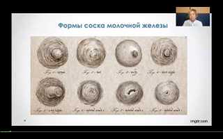 Соски у женщин. Виды ареол, какие бывают формы