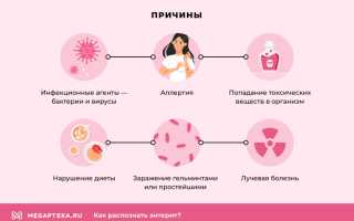 Энтерит. Симптомы и лечение у взрослых народными средствами, лекарства, диета. Признаки хронический, парвовирусный, инкубационный период