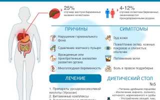 Холестаз при беременности. Что это на поздних, ранних сроках, симптомы, лечение