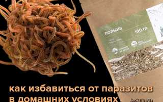 Избавляемся от глистов народными средствами в домашних условиях. Рецепты