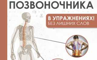 Изометрическая гимнастика для шейного, поясничного отдела позвоночника