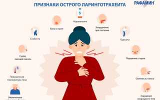 Ларинготрахеит. Симптомы и лечение у взрослых. Острый, стенозирующий, хронический. Ингаляции, антибиотики, народные средства, лекарства