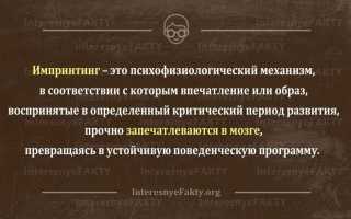 Импринтинг в психологии. Что это, объяснение, определение, примеры