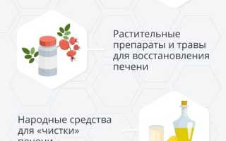 Как лечить печень. Народные средства, лекарственные препараты, диета, травы