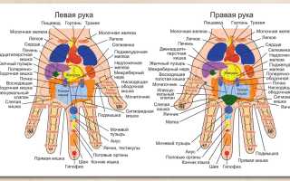 Точки на руках, отвечающие за органы. Фото с надписями правой, левой руки