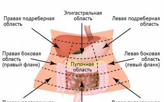 Эпигастральная область. Где это находится, что это такое, почему болит, колит, вздутие, выпирает, спазмы, тяжесть, что делать