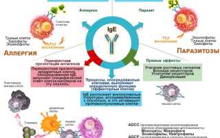 Иммуноглобулин Е человеческий: норма при беременности, у детей, взрослых. Причины повышенного уровня, лечение