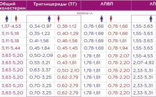 Норма холестерина в крови у женщин, мужчин по возрасту. Таблица после 30, 40, 50, 60 лет. Общий анализ из вены. Как уменьшить уровень