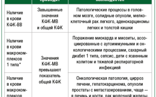 Креатинкиназа в крови. Причины повышенного уровня, симптомы и лечение