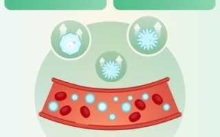 Тромбоциты повышены, понижены в крови. Норма, что это значит, как повысить, понизить уровень