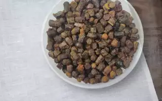 Перга пчелиная пыльца. Польза и вред, лечебные свойства для здоровья