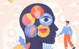 Сензитивность в психологии это что, определение, примеры