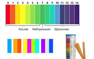 Как узнать кислотность желудка в домашних условиях у взрослых