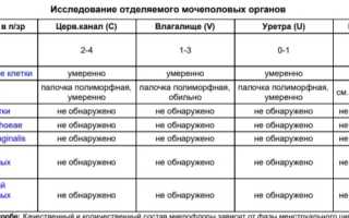 Полиморфная палочка в мазке у женщин. Что это такое, лечение при беременности