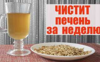 Очистка печени народными средствами в домашних условиях: овсом, оливковым маслом, лимонным соком. Рецепты
