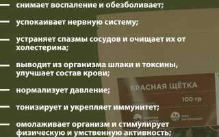 Лечебные свойства красной щетки, противопоказания. Инструкция по применению при климаксе, женских болезнях