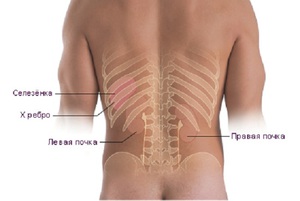 Внутренние заболевания Какие могут быть причины боли в боку