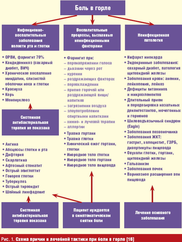 Болезни горла и гортани. Фото и описание, симптомы