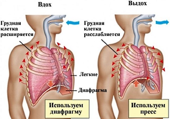 Фиброзные изменения в легких. Что это, причины, фото диффузные, локальные, после пневмонии, послеоперационные. Как лечить