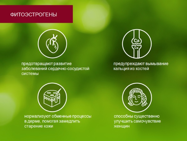 Фитоэстрогены для женщин после 40-50. Препараты, в продуктах питания и травах, таблетках, растения при климаксе, при остеопорозе, при менопаузе. Список, рейтинг