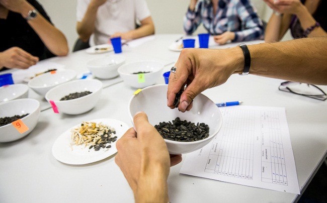 Гастроскопия желудка. Как делают без глотания зонда, под наркозом во сне. Как подготовиться, диета. Что показывает обследование, альтернативы