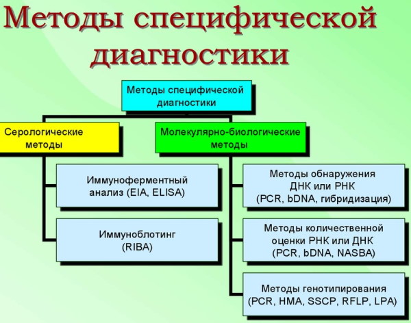 Гепатит B и C: симптомы, анализы, лечение