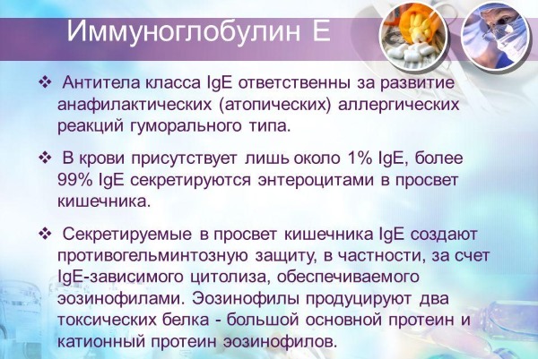 Иммуноглобулин Е человеческий: норма при беременности, у детей, взрослых. Причины повышенного уровня, лечение