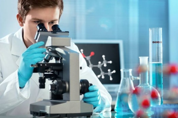 Иммуноглобулин Е человеческий: норма при беременности, у детей, взрослых. Причины повышенного уровня, лечение