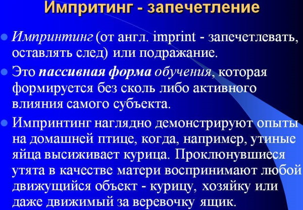 Импринтинг в психологии. Что это, объяснение, определение, примеры