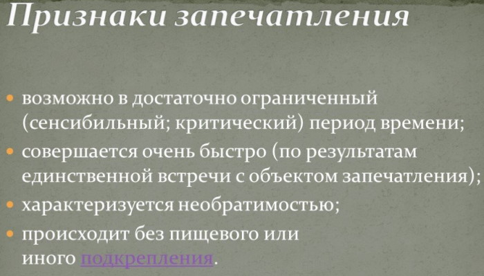 Импринтинг в психологии. Что это, объяснение, определение, примеры