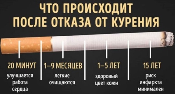 Профилактика гипертонической болезни