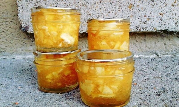 Корень лопуха. Полезные свойства, рецепты для волос, похудения, при онкологии, диабете. Как приготовить и принимать настойку, противопоказания