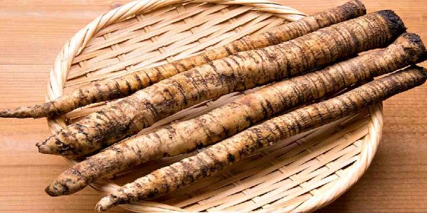 Корень лопуха. Полезные свойства, рецепты для волос, похудения, при онкологии, диабете. Как приготовить и принимать настойку, противопоказания