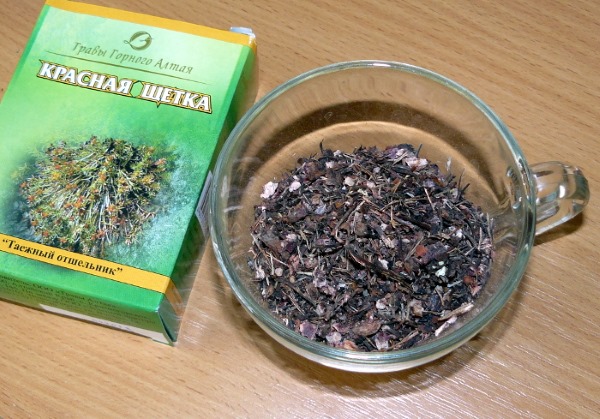 Лечебные свойства красной щетки, противопоказания. Инструкция по применению при климаксе, женских болезнях