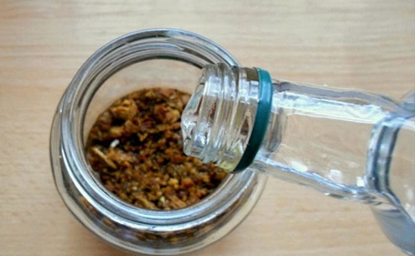 Лечебные свойства красной щетки, противопоказания. Инструкция по применению при климаксе, женских болезнях