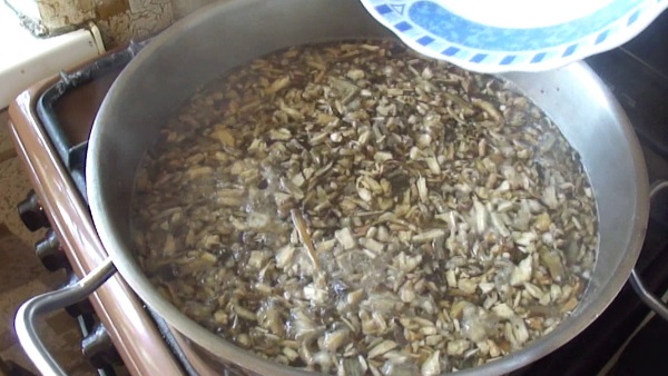 Кровоостанавливающие средства при обильных месячных. Народные, таблетки, травы, препараты