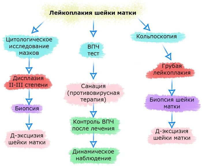 Лейкоплакия шейки матки. Отзывы, что это такое, лечение лазером, народными средствами
