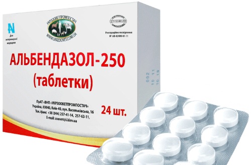 Острицы у детей. Симптомы и лечение, как выглядят, препараты, таблетки, народные средства