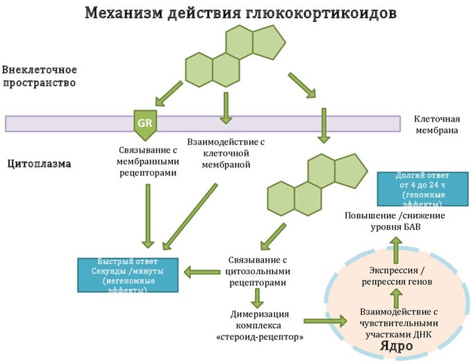 Комфодерм (Komfoderm) мазь для детей, взрослым. Инструкция по применению, цена, отзывы