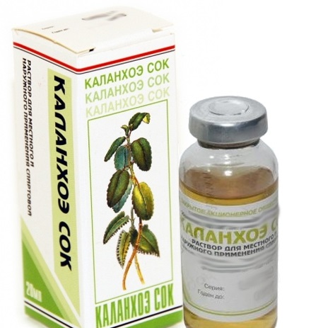 Грибок ногтей на ногах – симптомы, чем лечить в домашних условиях народными средствами и медикаментозно