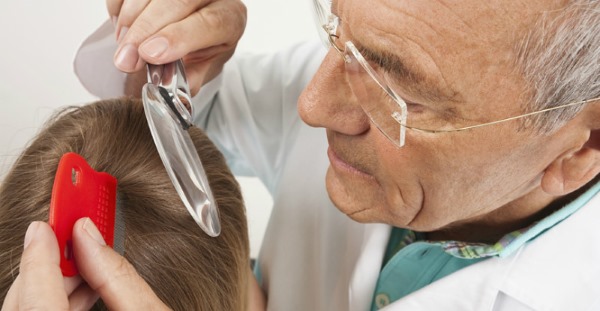 Народные средства от вшей и гнид для детей, взрослым, беременным с уксусом. Что добавить в шампунь