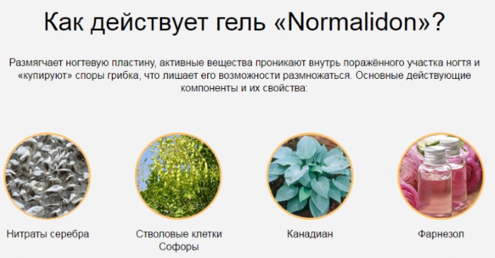 Нормалидон средство от грибка ногтей. Инструкция по применению, цена, отзывы