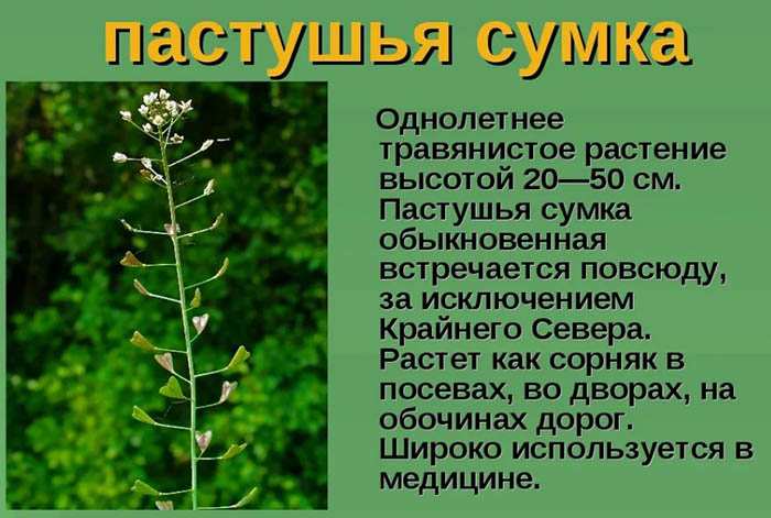 Обильные месячные после Дюфастона. Как остановить, отзывы