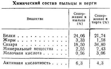 Перга пчелиная пыльца. Польза и вред, лечебные свойства для здоровья