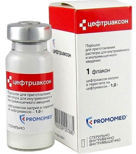 Пневмония без температуры, воспаление легких