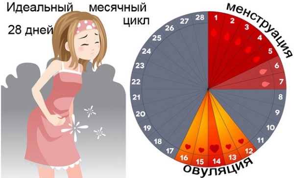 Покраснение и шелушение кожи на груди, под грудью у женщин. Причины, лечение