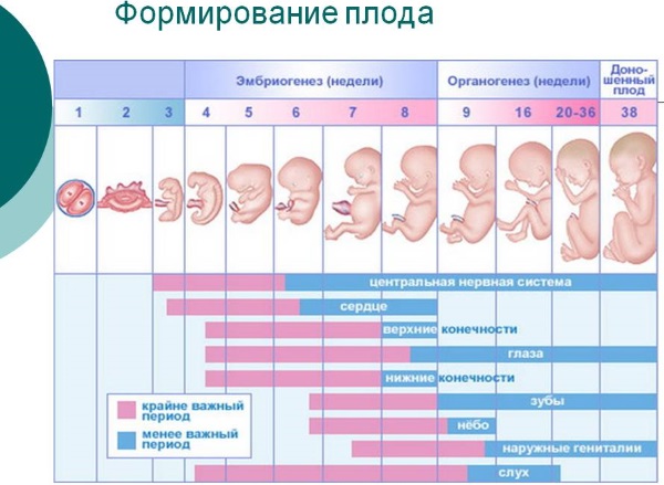 Прерывание беременности на ранних сроках. Таблетки, народные средства, процедуры